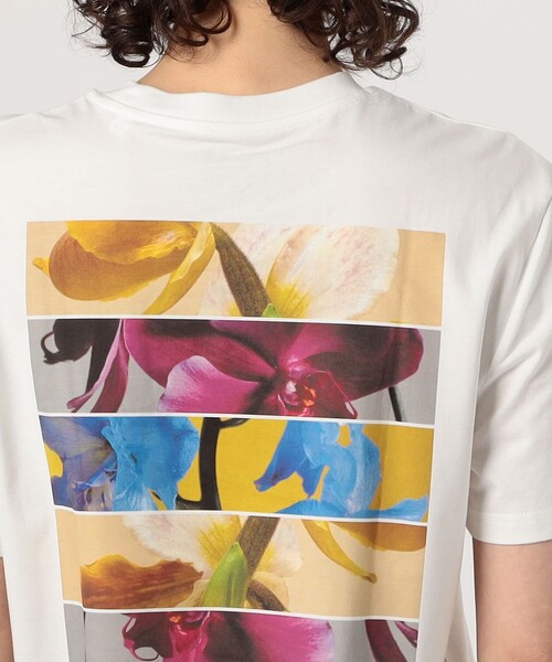 LISA KING(リサ キング)の「LISA KING 0000 ハーフスリーブプルオーバー(Tシャツ/カットソー・レディース・ホワイト系その他・S)」の7枚目の写真