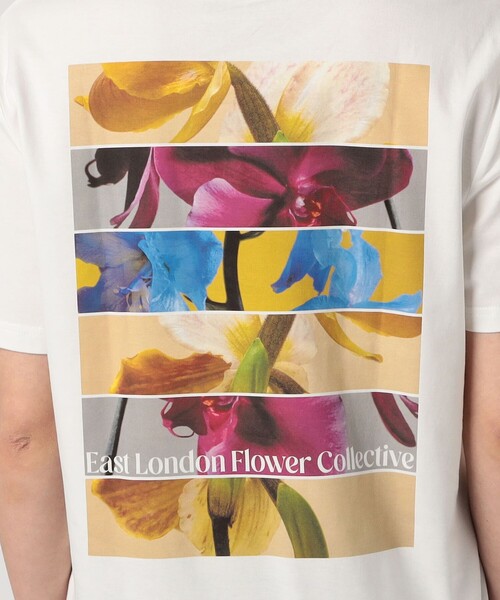 LISA KING(リサ キング)の「LISA KING 0000 ハーフスリーブプルオーバー(Tシャツ/カットソー・レディース・ホワイト系その他・S)」の10枚目の写真
