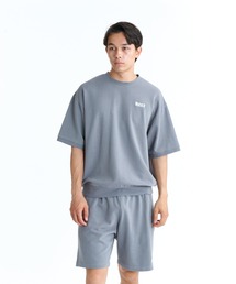 REEF（リーフ）の「REEF SS SWEAT スウェットTシャツ / 別売りセットアップ対応対応【2026年春夏モデル】（Tシャツ/カットソー）」