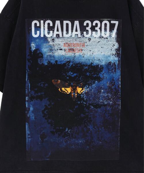 DANKE SCHON(ダンケシェーン)の「DankeSchon/ダンケシェーン/CHEMICAL S/S Tee CICADA(Tシャツ/カットソー・メンズ・ブラック・L/M)」の11枚目の写真