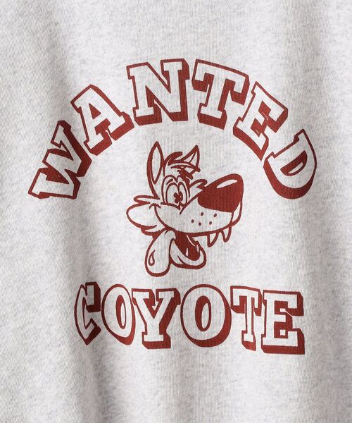 Russell Athletic（ラッセルアスレティック）の「*【SHIPS別注】RUSSELL ATHLETIC: ビッグシルエット カレッジロゴ/アニマル プリント ハーフスリーブ スウェット（Tシャツ/カットソー・メンズ・オフホワイト/グレー/ダークグレー/ネイビー・SMALL/MEDIUM/LARGE/X-LARGE）」の11枚目の写真