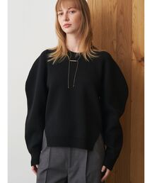 ELENDEEK | PLATING KNIT PO(ニット/セーター)