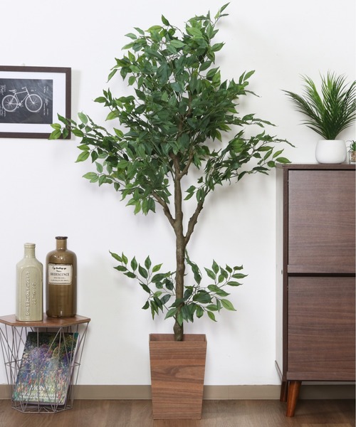 【セール】フェイクグリーン フィカス 160cm ジョイント式（インテリア雑貨）｜emesuelee（エメスーリー）