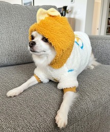 yield（イールド）の「【yield select】ペット服 ペットウェア リードフック付き  恐竜 フード付きパーカ YW9DPK（ペットウェア）」