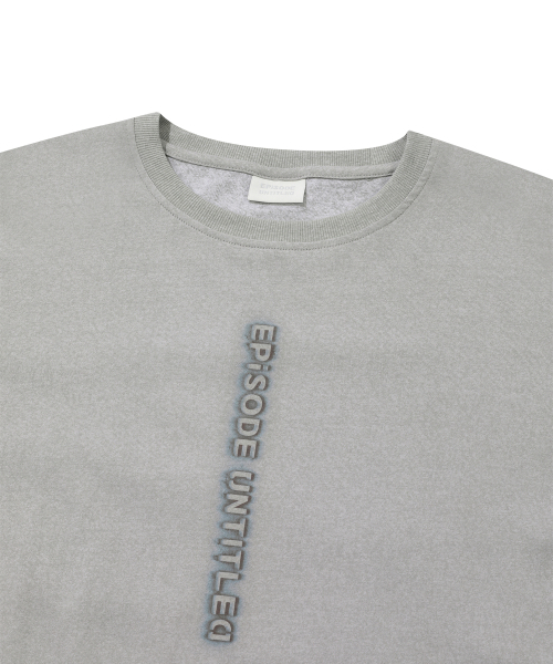 EPISODE UNTITLED(エピソードアンタイトルド)の「PRINTING PATCH PIGMENT LONG SLEEVES_SAND(Tシャツ/カットソー・レディース・その他・2/3)」の4枚目の写真