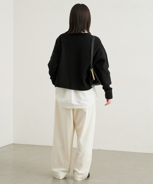 SLOBE IENA(スローブイエナ)の「コットンベーシックシャツ(シャツ/ブラウス・レディース・サックスブルー/ホワイト/ピンク・FREE)」の15枚目の写真