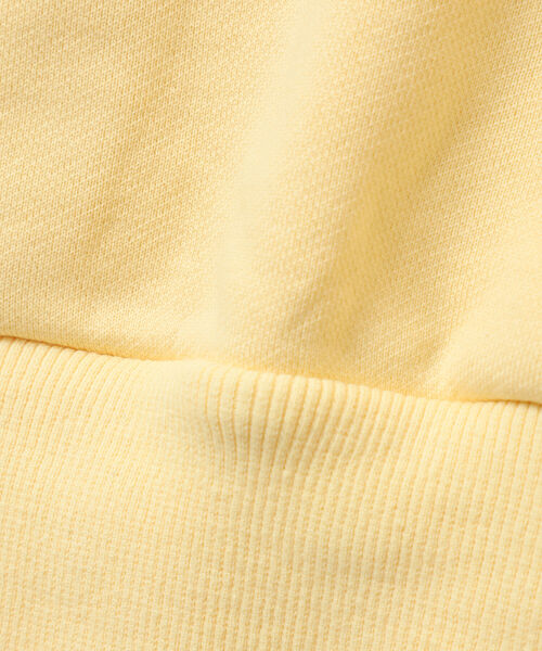 VAPORIZE（ヴェイパライズ）の「VAPORIZE / Half Zip Sweat（スウェット・メンズ・ブラック/クリーム・SMALL/MEDIUM/LARGE）」の12枚目の写真