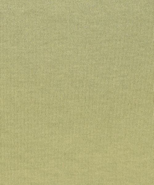 Grand PARK（グランドパーク）の「日本製　デラヴェ天竺カットソー ムジ（Tシャツ/カットソー・レディース・イエロー/サックスブルー/グリーン・FREE）」の9枚目の写真