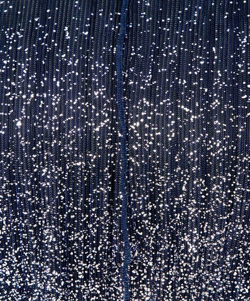 HARE（ハレ）の「ラメプリーツシアートップス(HARE)（Tシャツ/カットソー・レディース・ライトブルー/ブラック×シルバー/ブルー系その他/レッド/ブラック/ブルー/オレンジ・FREE）」の10枚目の写真