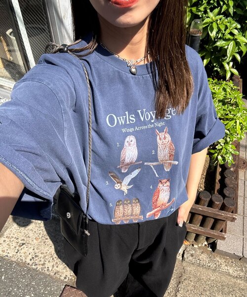 CIAOPANIC(チャオパニック)の「【BIRDMANIA/バードマニア】野鳥コレクションTシャツ(Tシャツ/カットソー・レディース・ホワイト/ネイビー/ピンク/ホワイト系その他/ダークブルー/ピンク系その他/ホワイト系その他2/ホワイト系その他3/ピンク系その他2/ピンク系その他3・FREE)」の6枚目の写真