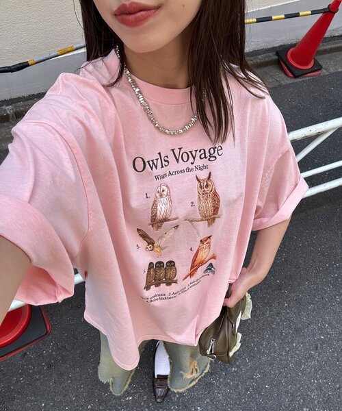 CIAOPANIC(チャオパニック)の「【BIRDMANIA/バードマニア】野鳥コレクションTシャツ(Tシャツ/カットソー・レディース・ホワイト/ネイビー/ピンク/ホワイト系その他/ダークブルー/ピンク系その他/ホワイト系その他2/ホワイト系その他3/ピンク系その他2/ピンク系その他3・FREE)」の10枚目の写真