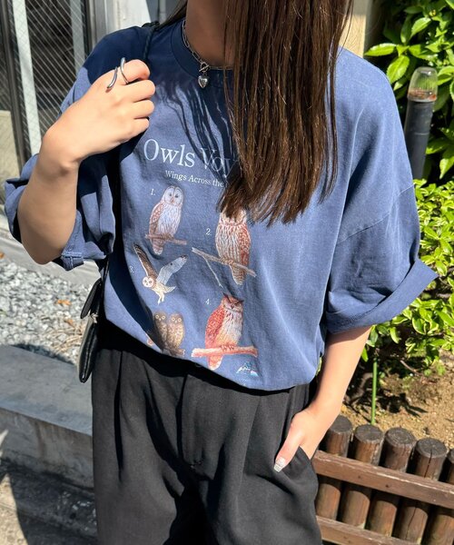 CIAOPANIC(チャオパニック)の「【BIRDMANIA/バードマニア】野鳥コレクションTシャツ(Tシャツ/カットソー・レディース・ホワイト/ネイビー/ピンク/ホワイト系その他/ダークブルー/ピンク系その他/ホワイト系その他2/ホワイト系その他3/ピンク系その他2/ピンク系その他3・FREE)」の12枚目の写真