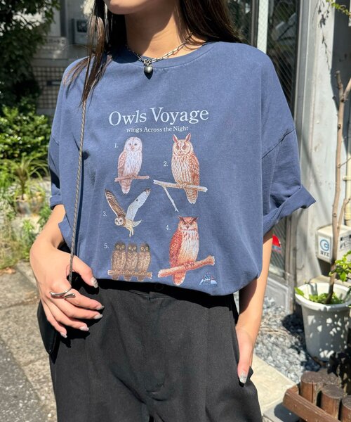 CIAOPANIC(チャオパニック)の「【BIRDMANIA/バードマニア】野鳥コレクションTシャツ(Tシャツ/カットソー・レディース・ホワイト/ネイビー/ピンク/ホワイト系その他/ダークブルー/ピンク系その他/ホワイト系その他2/ホワイト系その他3/ピンク系その他2/ピンク系その他3・FREE)」の14枚目の写真