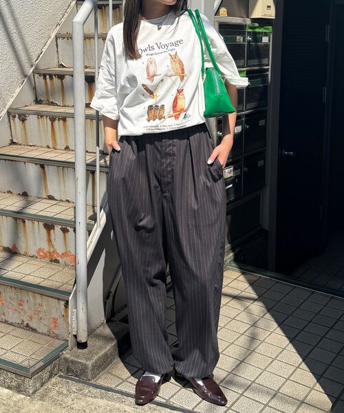 tシャツ 「BIRDMANIA/バードマニア」野鳥コレクションTシャツ レディース メンズ BIRDMANIA/バードマニア】野鳥コレクションTシャツ（Tシャツ