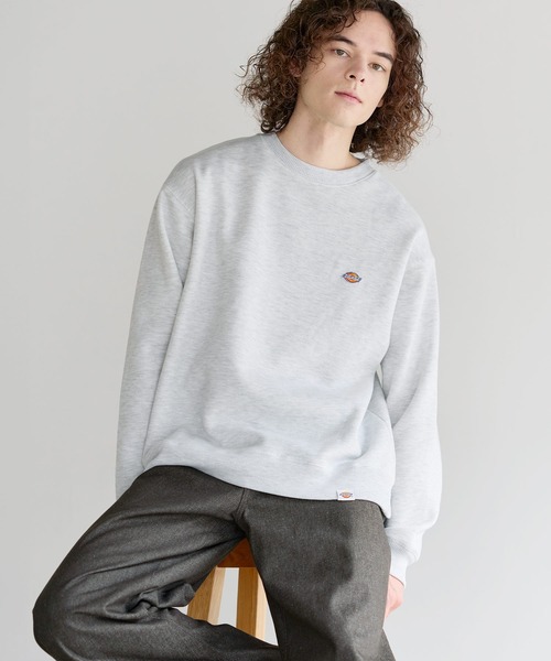 Dickies(ディッキーズ)の「Dickies 裏起毛クルーネック長袖プルオーバー/ブランドロゴ刺繍/ワッペン/バックシンボルプリント刺繍(スウェット・メンズ・ブラック系2/ブラウン/ブラック系1/ブラウン系2/ブラウン系1/ブラック/ネイビー/ネイビー系1/ネイビー系2/ベージュ系2/ベージュ/ベージュ系1・LL/M/L)」の17枚目の写真