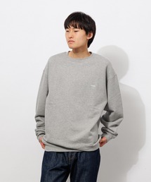 Small Logo Heavy Crewneck Sweatshirt