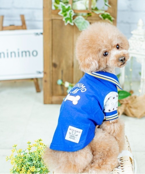 tone（トーン）の「【minimo】骨型プリント鹿の子ポロシャツ/犬服