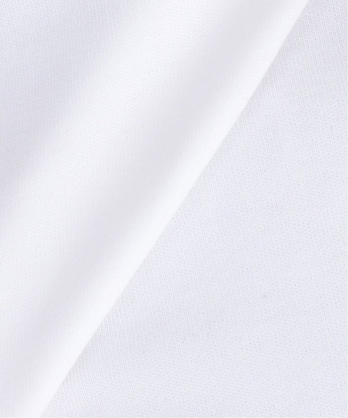 Noble（ノーブル）の「《追加3》スビンコットンスムースUネックTシャツ（Tシャツ/カットソー・レディース・ホワイト/チャコールグレー/ブラック/ブラウン・FREE）」の21枚目の写真
