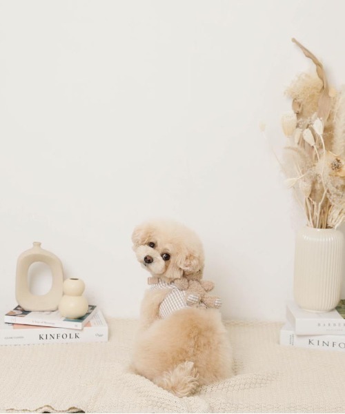 moncheri（モンシェリ）の「くまさんギンガムチェックおんぶハーネス+リードSET【サイズ調整可能・８㎏まで対応】（リード/ハーネス/首輪・レディース・ベージュ・M/S/L）」の3枚目の写真