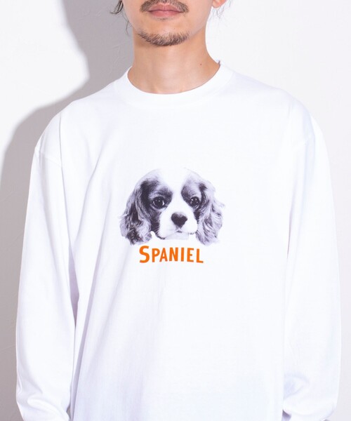 GLOSTER（グロスター）の「【新柄追加】【GLOSTER/グロスター】DOG&CAT 犬猫プリント クルーネックロンT（Tシャツ/カットソー・メンズ・オフホワイト/アイボリー/ホワイト系その他/キナリ/ホワイト系その他2/ホワイト系その他3・S/M/L）」の16枚目の写真