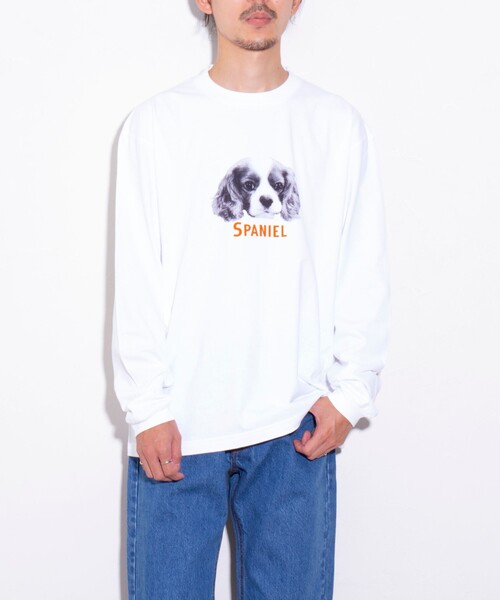 GLOSTER（グロスター）の「【新柄追加】【GLOSTER/グロスター】DOG&CAT 犬猫プリント クルーネックロンT（Tシャツ/カットソー・メンズ・オフホワイト/アイボリー/ホワイト系その他/キナリ/ホワイト系その他2/ホワイト系その他3・S/M/L）」の17枚目の写真