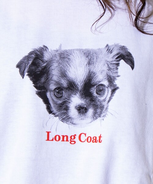 GLOSTER（グロスター）の「【新柄追加】【GLOSTER/グロスター】DOG&CAT 犬猫プリント クルーネックロンT（Tシャツ/カットソー・メンズ・オフホワイト/アイボリー/ホワイト系その他/キナリ/ホワイト系その他2/ホワイト系その他3・S/M/L）」の13枚目の写真