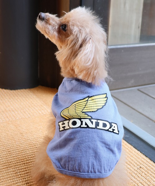 犬服/綿100%】DOG HONDA コラボ Tシャツ（WING）（ペットウェア