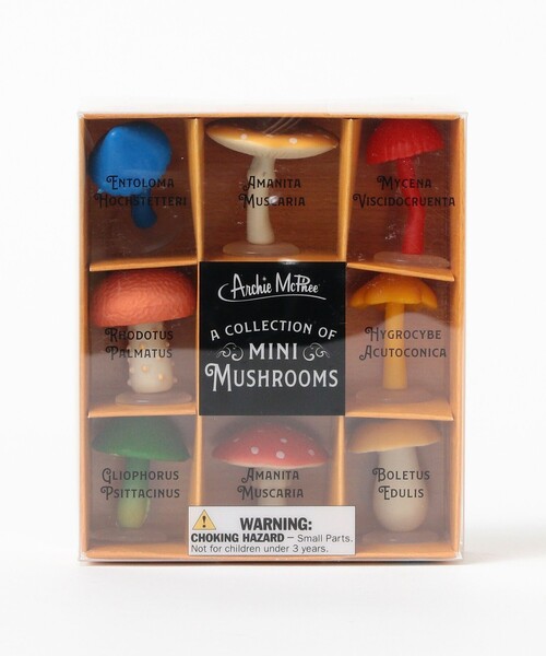 bpr BEAMS（ビーピーアール ビームス ）の「Archie McPhee / MUSHROOMS（フィギュア・レディース・その他・ONE SIZE）」の13枚目の写真