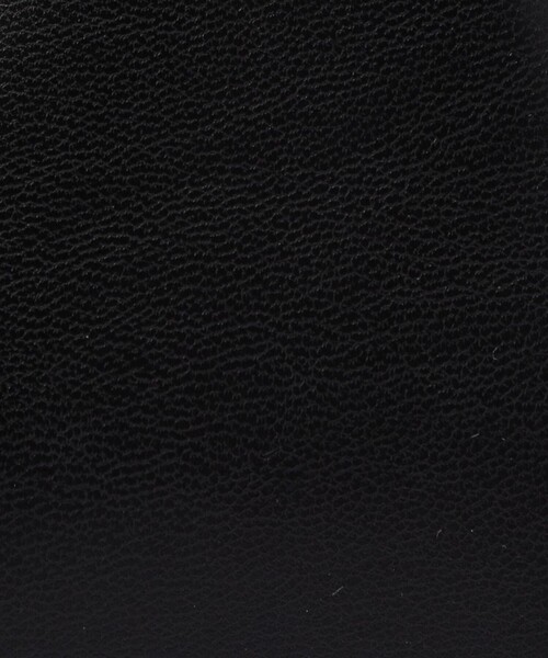 TOMORROWLAND （トゥモローランド）の「THE MOIRe EMERA CLUTCH バッグ（クラッチバッグ・レディース・ブラック/アイボリー・FREE）」の6枚目の写真