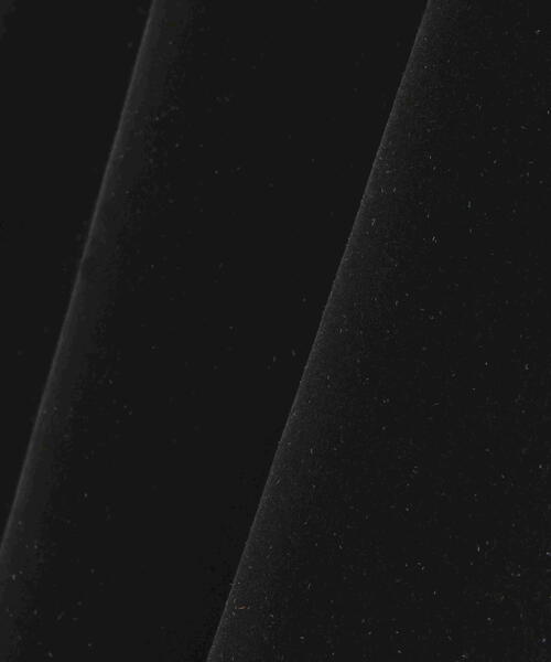 AULA AILA(アウラアイラ)の「AULA AILA(アウラ アイラ)別注ハイネックベロアTOPS(Tシャツ/カットソー・レディース・グレー/ブラック/ピンク・0)」の5枚目の写真