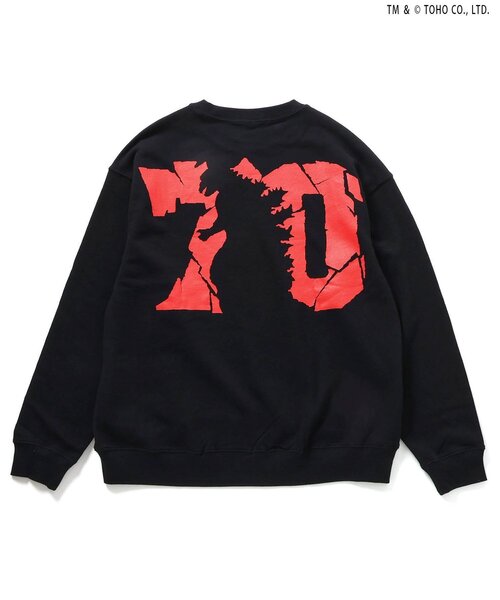 BREEZE(ブリーズ)の「【ゴジラ】70周年歴代ゴジラ&怪獣トレーナー(大人)(スウェット・メンズ・その他12/その他11・MEDIUM/LARGE)」の10枚目の写真