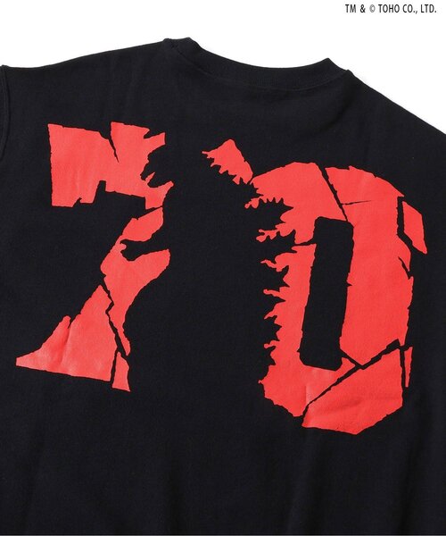 BREEZE(ブリーズ)の「【ゴジラ】70周年歴代ゴジラ&怪獣トレーナー(大人)(スウェット・メンズ・その他12/その他11・MEDIUM/LARGE)」の14枚目の写真