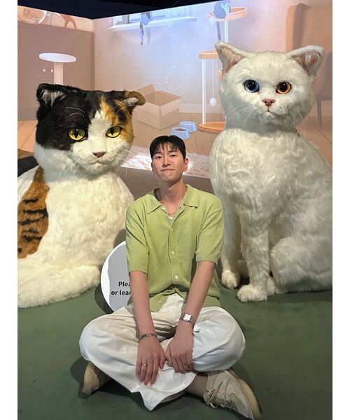 TRILLION(トリリオン)の「ウォッシャブルブックルカラー 半袖ニット(LIGHT GREEN)(Tシャツ/カットソー・レディース・その他・MEDIUM/LARGE/X-LARGE)」の8枚目の写真