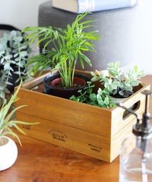 LAKOLE(���R��)�̃E�b�h�{�b�N�X(M) / 655800(�t�����[�x�[�X)