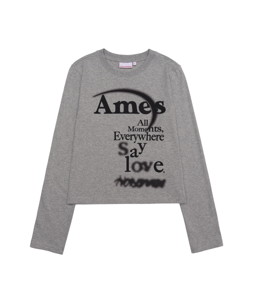 AMESWORLDWIDE(アメスワールドワイド)の「BIG TYPO LONGSLEEVE TEE GREY(Tシャツ/カットソー・レディース・その他・SMALL/MEDIUM/LARGE)」の9枚目の写真