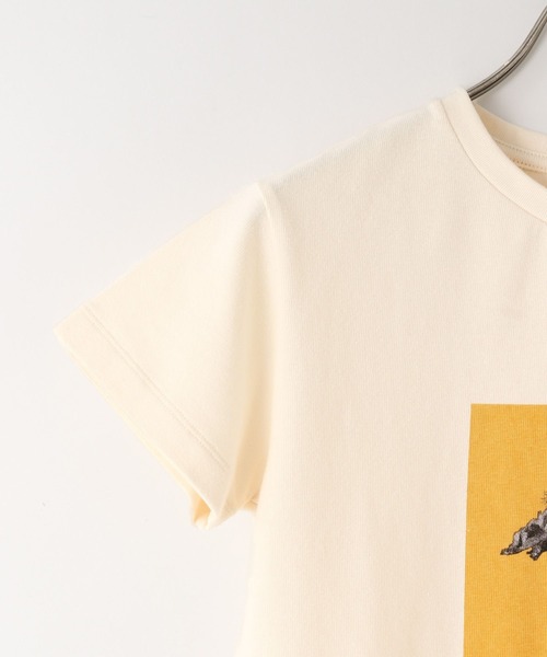 LOWRYS FARM(ローリーズファーム)の「チビフォトTEE 668217(Tシャツ/カットソー・レディース・ライトブルー/アイボリー/チャコールグレー・FREE)」の9枚目の写真