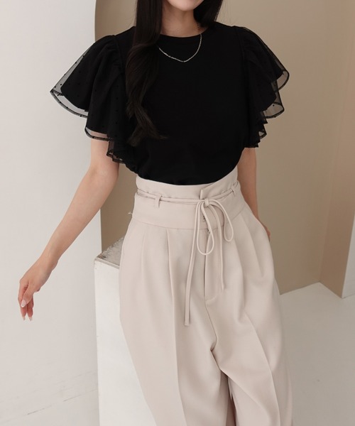 SOELA(ソエラ)の「【INGNI SOELA】ドットチュールフリルTシャツ/WEB限定(Tシャツ/カットソー・レディース・オフホワイト/ブラック・FREE)」の16枚目の写真