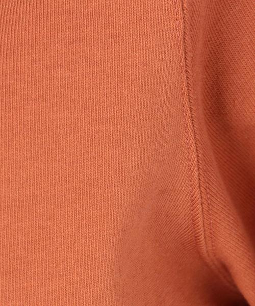 Another Edition(アナザーエディション)の「シンプルショートTシャツ/AEBC CO ショートT◆(Tシャツ/カットソー・レディース・オフホワイト/ライトグレー/オレンジ/ネイビー・FREE)」の19枚目の写真