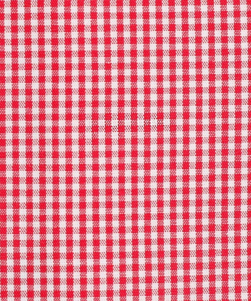 Rocky Monroe（ロッキーモンロー）の「国産長袖ボタンダウンギンガムチェックシャツ（シャツ/ブラウス・メンズ・ネイビー/ブルー系その他/レッド/レッド系その他/ブルー/ブラック系その他/ブラック/ブルー系その他2/ブラック系その他2/ブルー系その他3/ブルー系その他4/レッド系その他2・L/M/LL）」の18枚目の写真