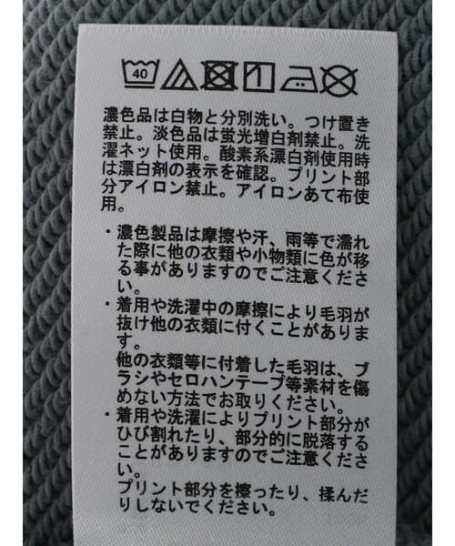 AMERICAN HOLIC(アメリカンホリック)の「ラグランスリーブフロッキーロゴスウェット1(スウェット・レディース・グレイッシュベージュ/サックスブルー・M/L)」の7枚目の写真