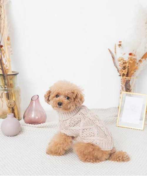 モンシェリ　ダッフルコート　犬服　ベージュL 楽天市場】【LINE追加10%OFFクーポン】moncheri モンシェリ 犬