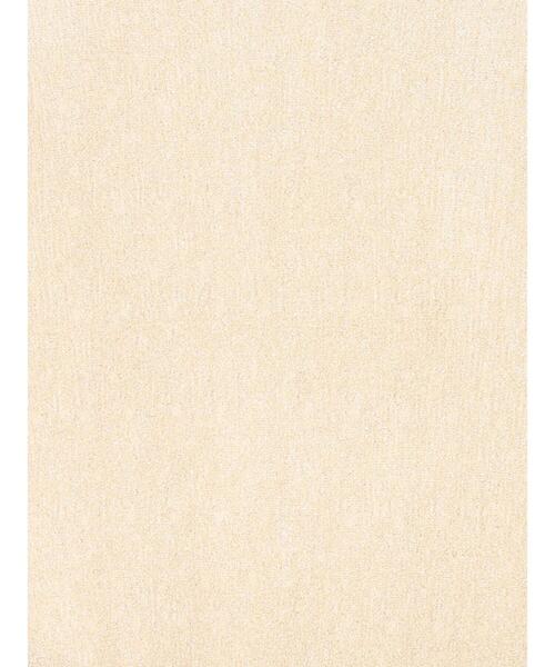 Te chichi（テチチ）の「ラメノースリーブニット（ニット/セーター・レディース・シルバー/ゴールド・F）」の18枚目の写真