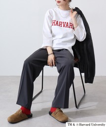 HARVARD | HARVARD　フットボールTee(Tシャツ/カットソー)