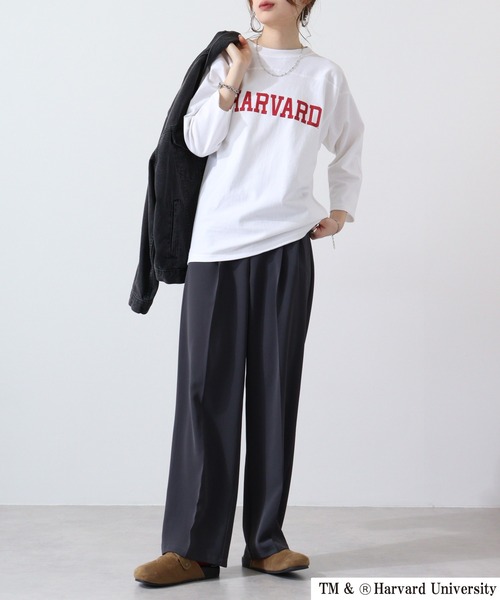 HARVARD(ハーバード)の「HARVARD フットボールTee(Tシャツ/カットソー・メンズ・ブラック/ホワイト・XL/L/M)」の9枚目の写真