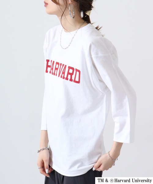 HARVARD(ハーバード)の「HARVARD フットボールTee(Tシャツ/カットソー・メンズ・ブラック/ホワイト・XL/L/M)」の6枚目の写真