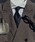 CALIFORNIA OUTFITTERS�i�J���t�H���j�A �A�E�g�t�B�b�^�[�Y�j�́uSTD-4C16 �x�[�V�b�N �l�N�^�C�i�l�N�^�C�j�v�b�l�C�r�[