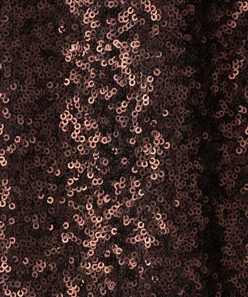 BEAUTY&YOUTH UNITED ARROWS（ビューティーアンドユースユナイテッドアローズ）の「スパンコール Iライン スカート（スカート・レディース・ブラウン/シルバー・M/S）」の14枚目の写真