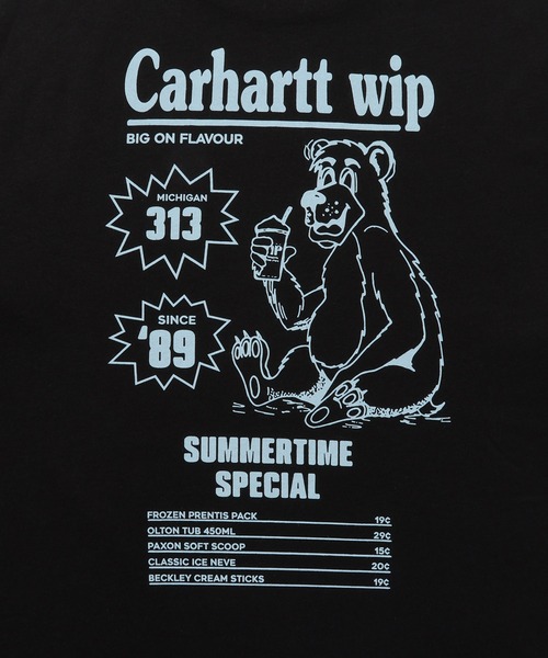 Tシャツ・カットソー CARHARTT S/S HOT SCRIPT T-SHIRT 5SA336 ショートスリーブスクリプトTシャツ