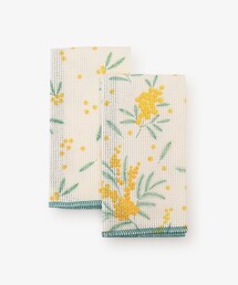 Afternoon Tea(�A�t�^�k�[���e�B�[)�̃~���U�R�ۃf�B�b�V���N���X(�L�b�`���c�[��)