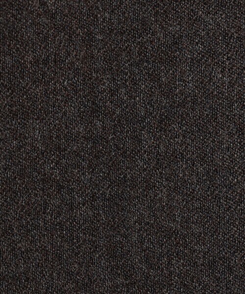 PT TORINO（ピーティートリノ）の「PT TRINO GENTS ウールストレッチ 1プリーツスラックス（スラックス・メンズ・ブラウン/チャコールグレー・48/46）」の14枚目の写真